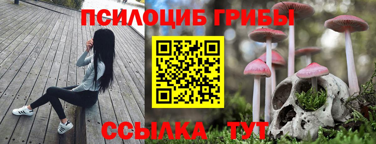 Псилоцибиновые грибы Psilocybe Краснотурьинск