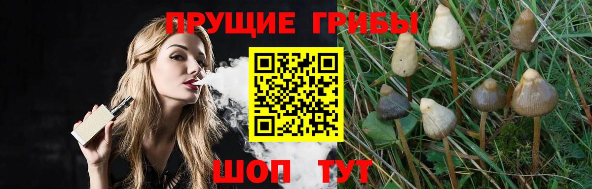 Краснотурьинск  ГАШ  Каннабис  Вход с VPN  Меф МЯУ МЯУ кристаллы  Амфетамин кристаллы 